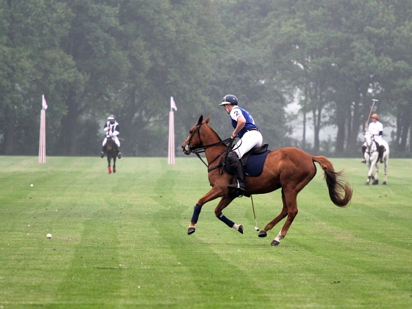 Polo_Art   068.jpg